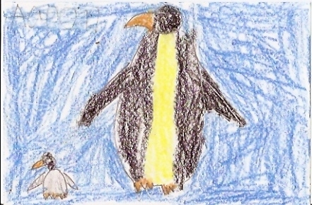 Penguins by Scholastic