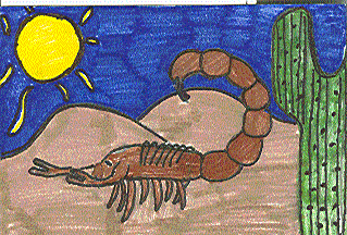 Nature's Children:  Scorpions