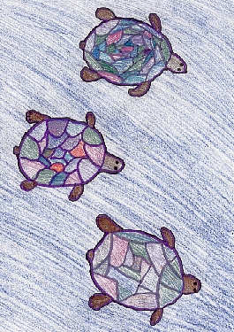 The Siamese Turtle Mystery